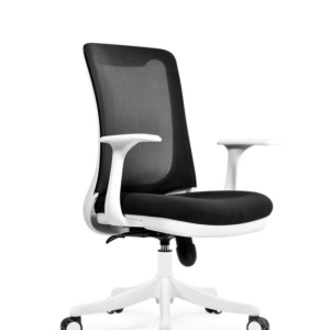 FRAME Ergonomic Mesh Mid-back Office Chair