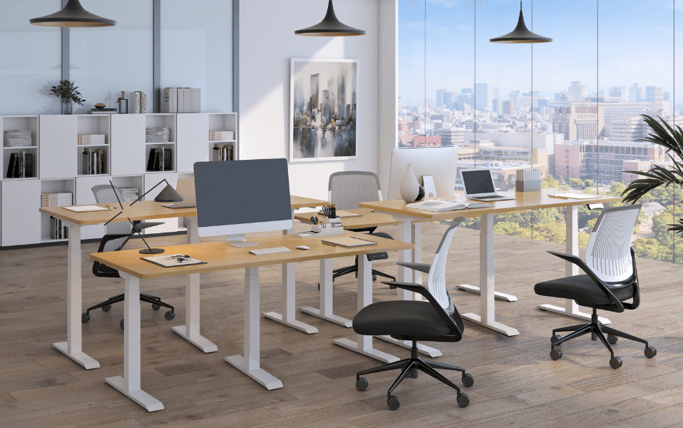 Height Adjustable desk 9n Dual 6