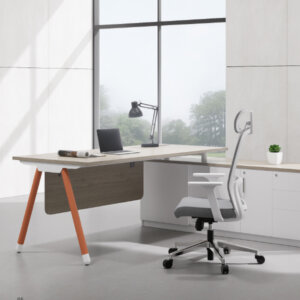 960 x 600 IISA executive desk1 2024 1