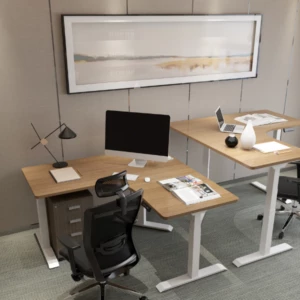 Height Adjustable desk 9n Dual 7